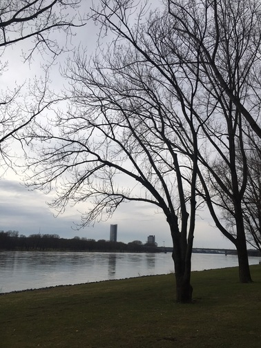 Mit dem Segway am Fluss